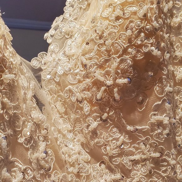 Princess Tulle and Beaded Wedding Dress - Picture 7 of 8